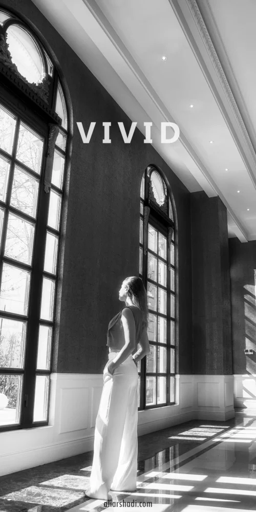 vivid by aliarshadi.com